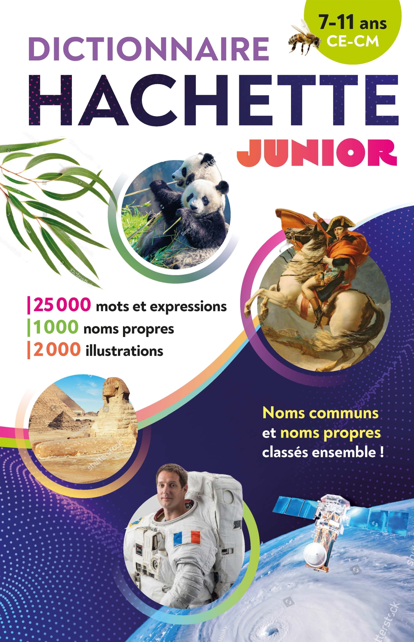 DICTIONNAIRE HACHETTE JUNIOR : CE, CM, 7-11 ANS 2024