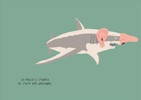 LE REQUIN