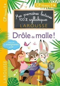 Voir les images