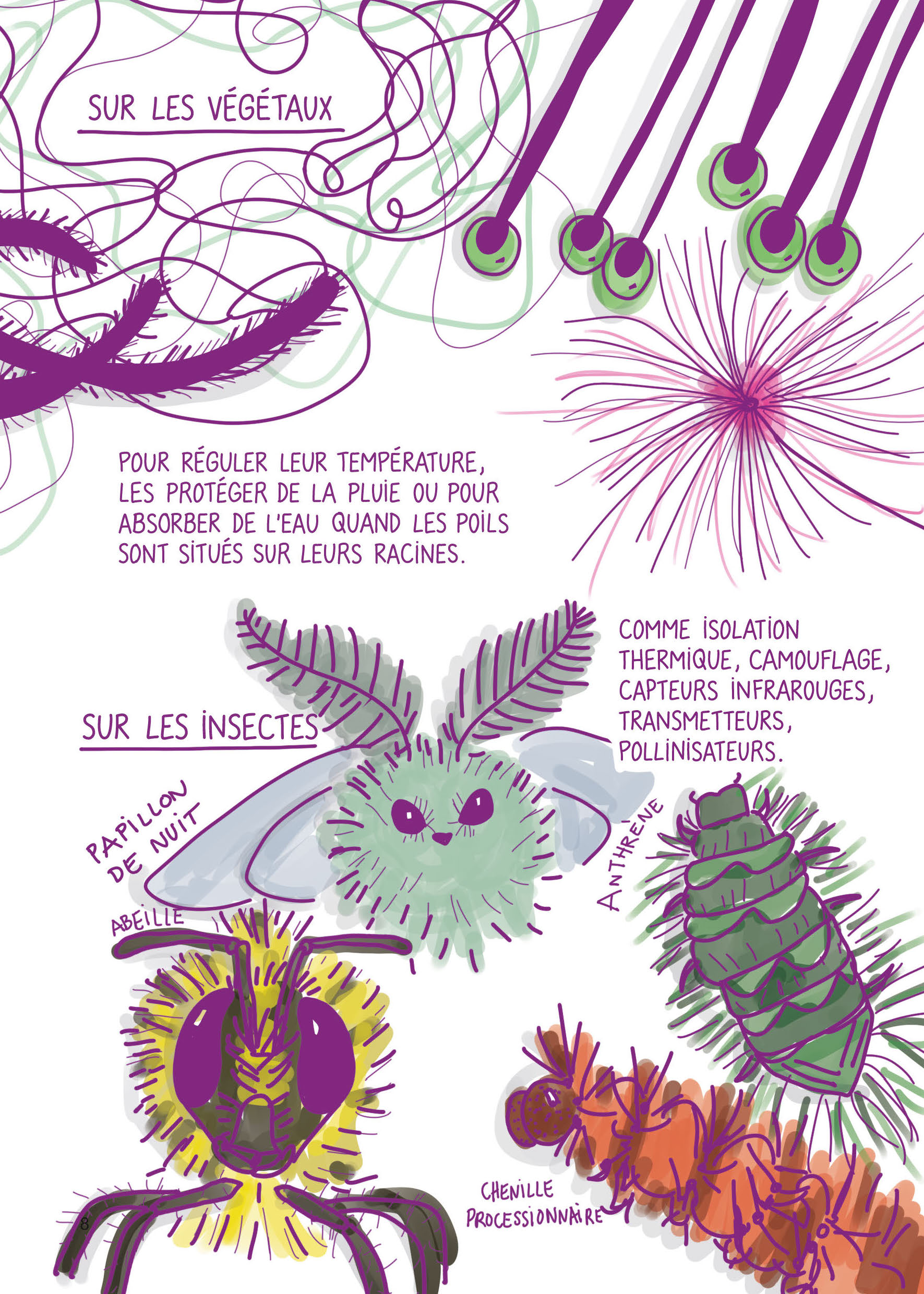 NOS POILS : MON ANNEE D