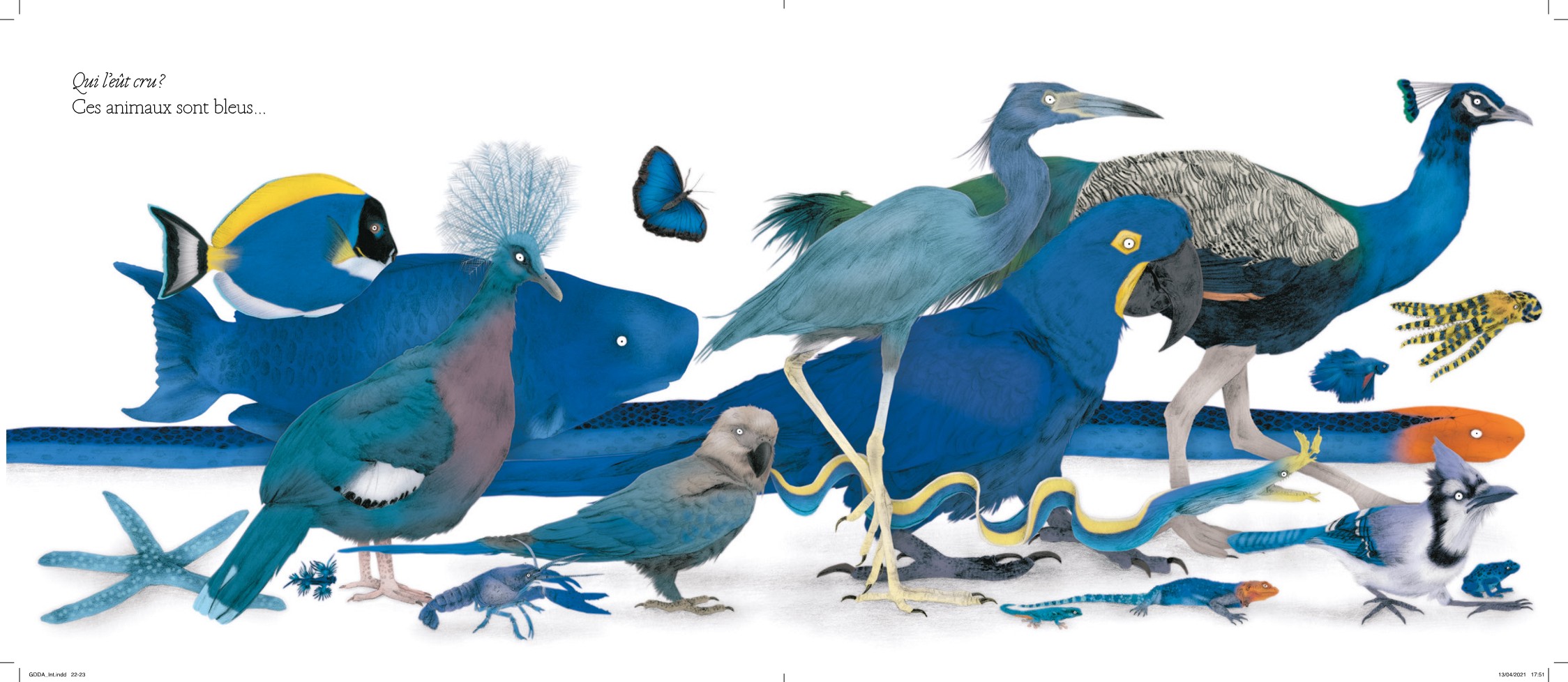 LE GRAND DEFILE DES ANIMAUX