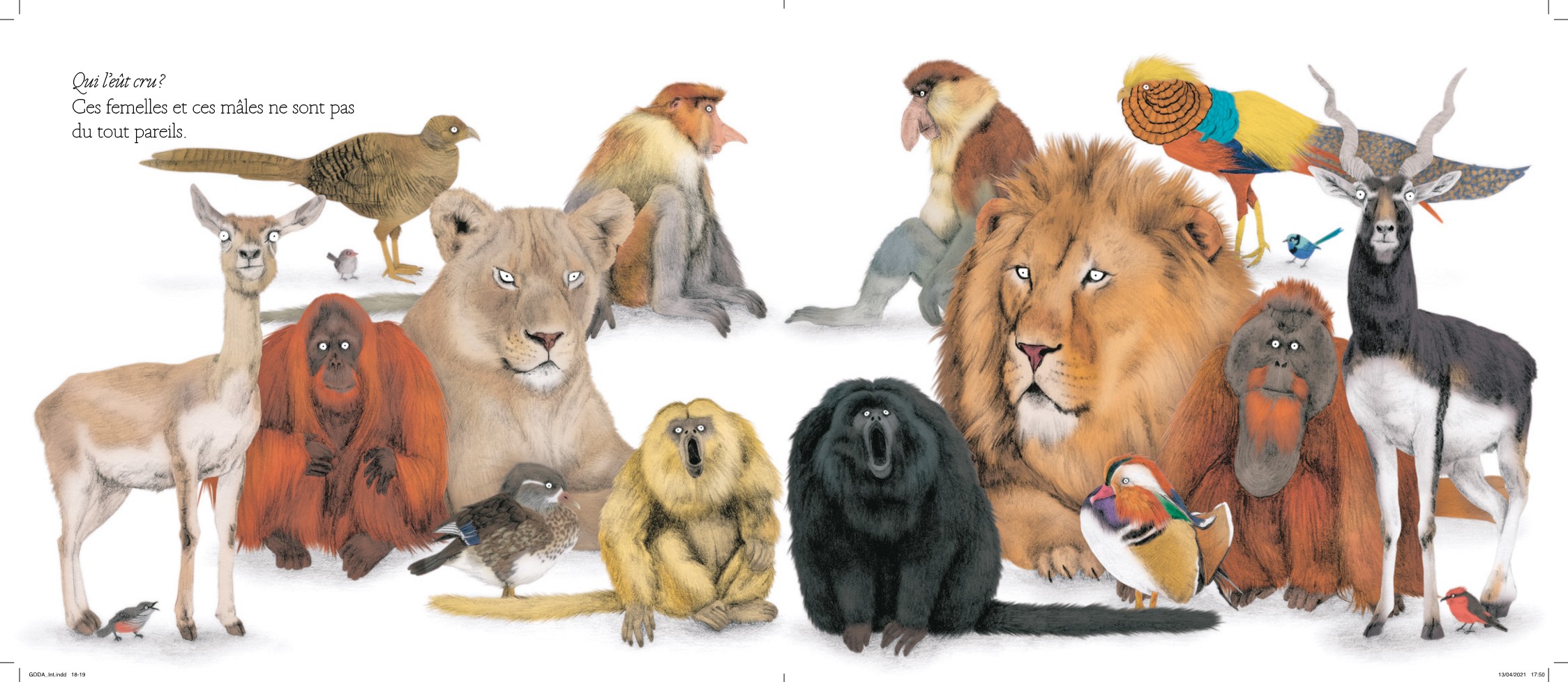 LE GRAND DEFILE DES ANIMAUX