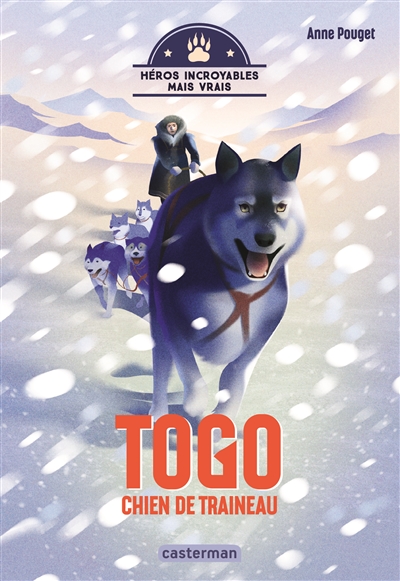 TOGO, CHIEN DE TRAINEAU
