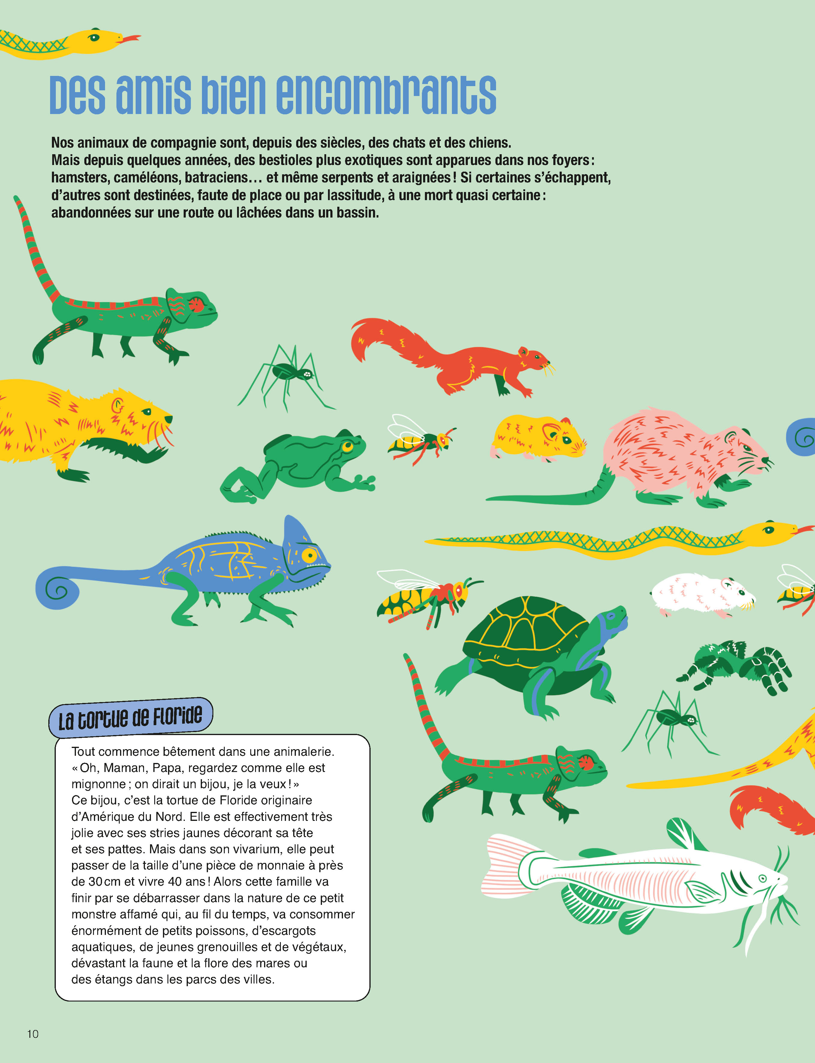 LES ANIMAUX ET NOUS : COMMENT VIVRE ENSEMBLE EN VILLE ? LES ANIMAUX ET NOUS : COMMENT VIVRE ENSEMBLE EN VILLE ?