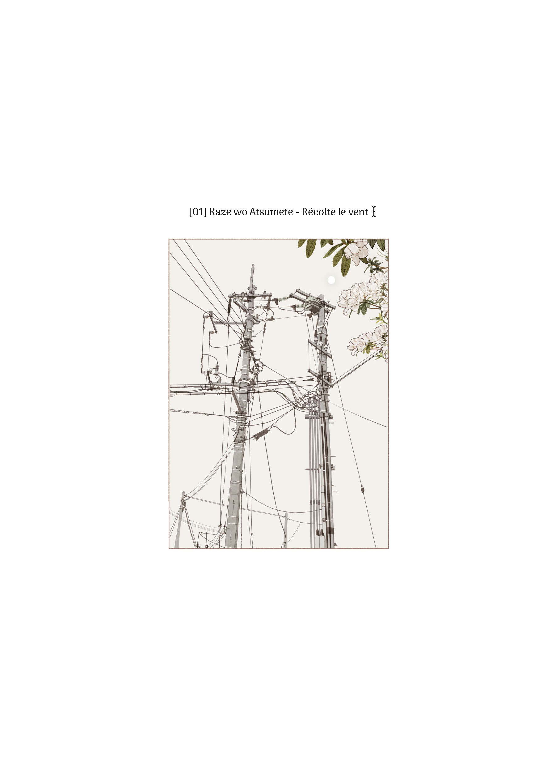 THE SONG ABOUT GREEN T1