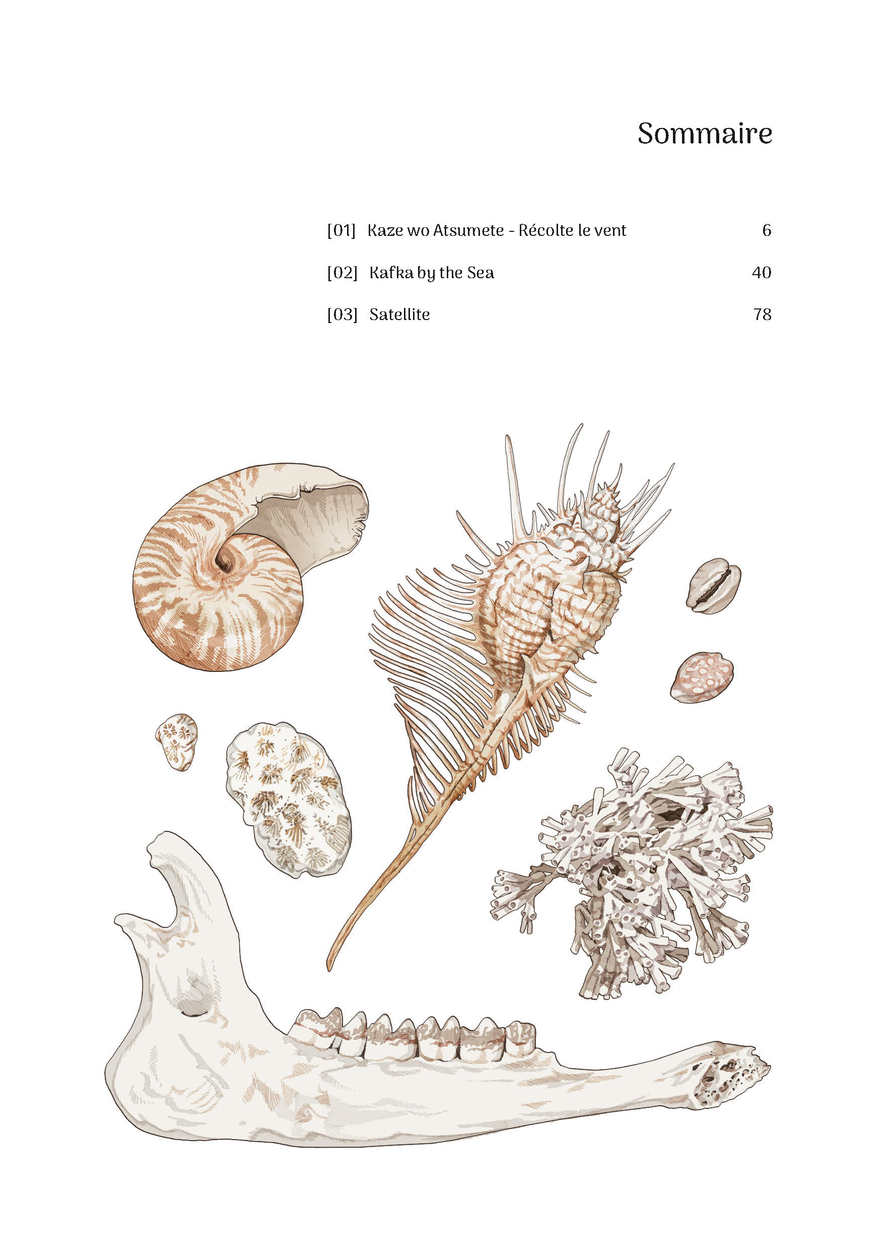 THE SONG ABOUT GREEN T1