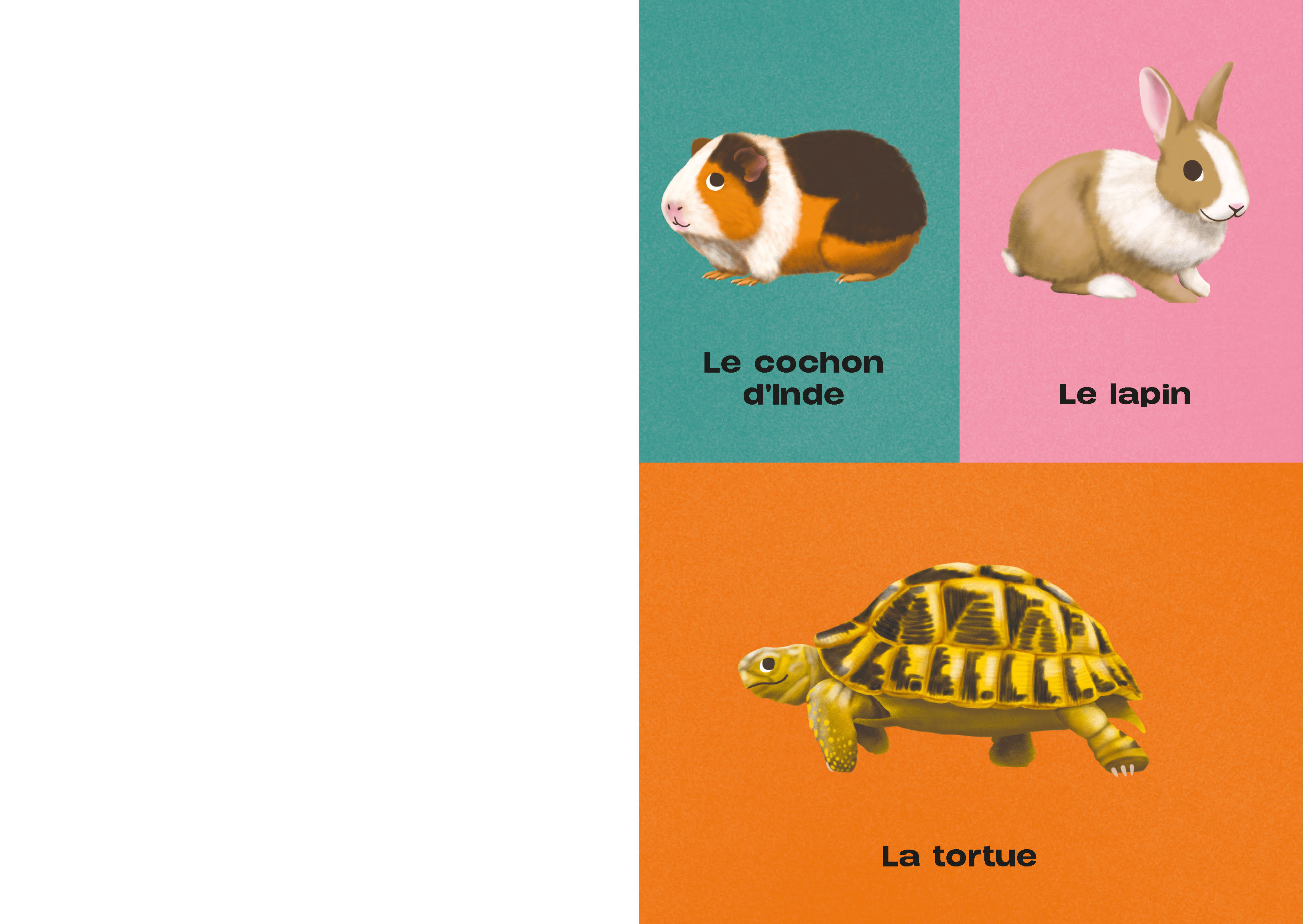 MON IMAGIER A JOUER - LES ANIMAUX MON IMAGIER A JOUER - LES ANIMAUX