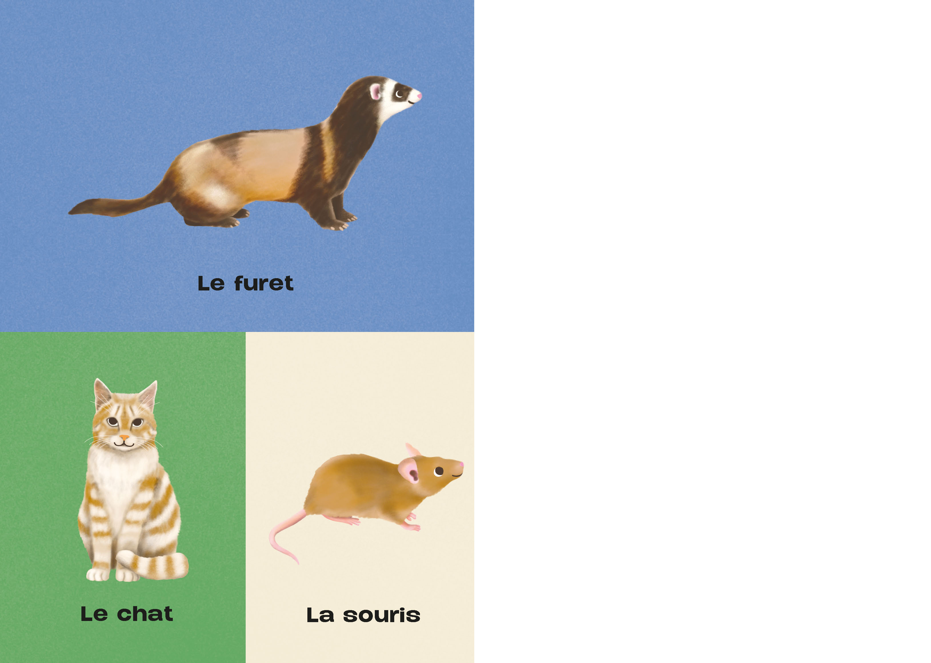 MON IMAGIER A JOUER - LES ANIMAUX MON IMAGIER A JOUER - LES ANIMAUX