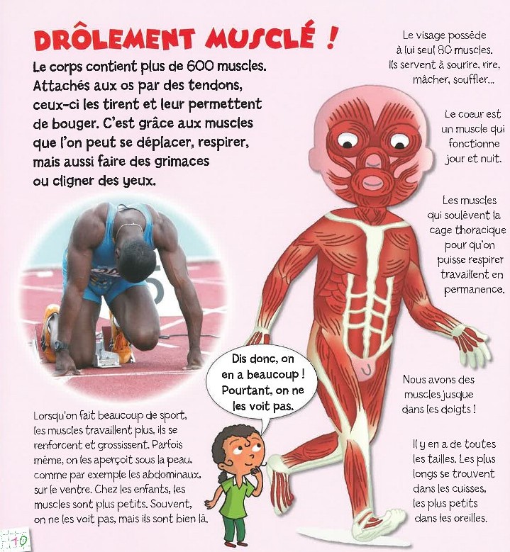 LE CORPS