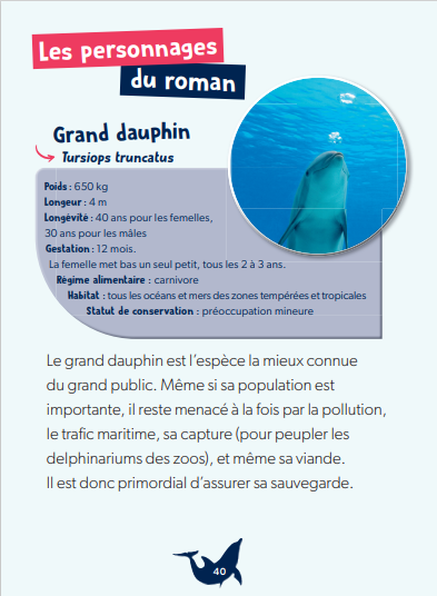 UNE RENCONTRE INATTENDUE - DEFIS NATURE