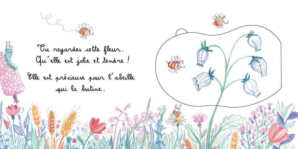 MA TERRE, MA MAISON