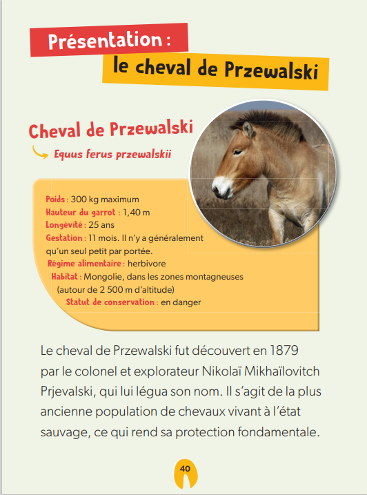 GALOP DANS LES PLAINES - DEFIS NATURE