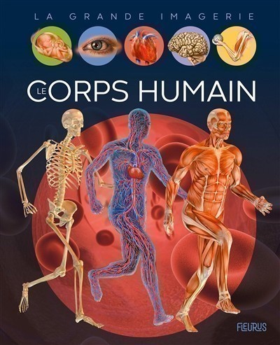 LE CORPS HUMAIN