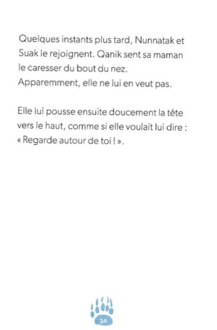 UN OURSON INTREPIDE - DEFIS NATURE