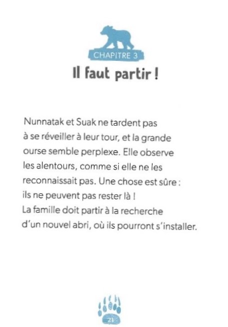 UN OURSON INTREPIDE - DEFIS NATURE