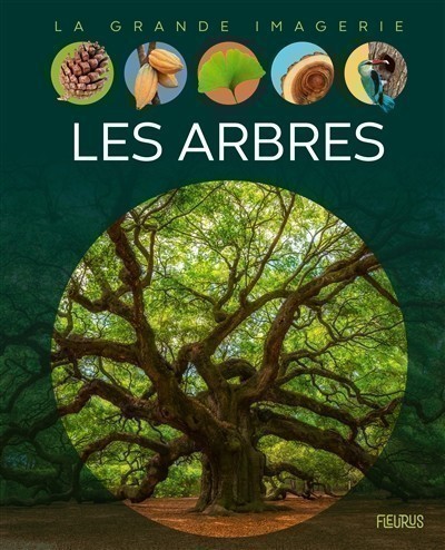 LES ARBRES