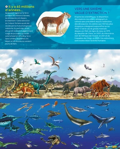 LES ANIMAUX EN DANGER