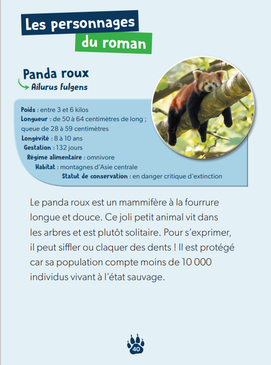 ATTENTION, PETIT PANDA ROUX ! DEFIS NATURE