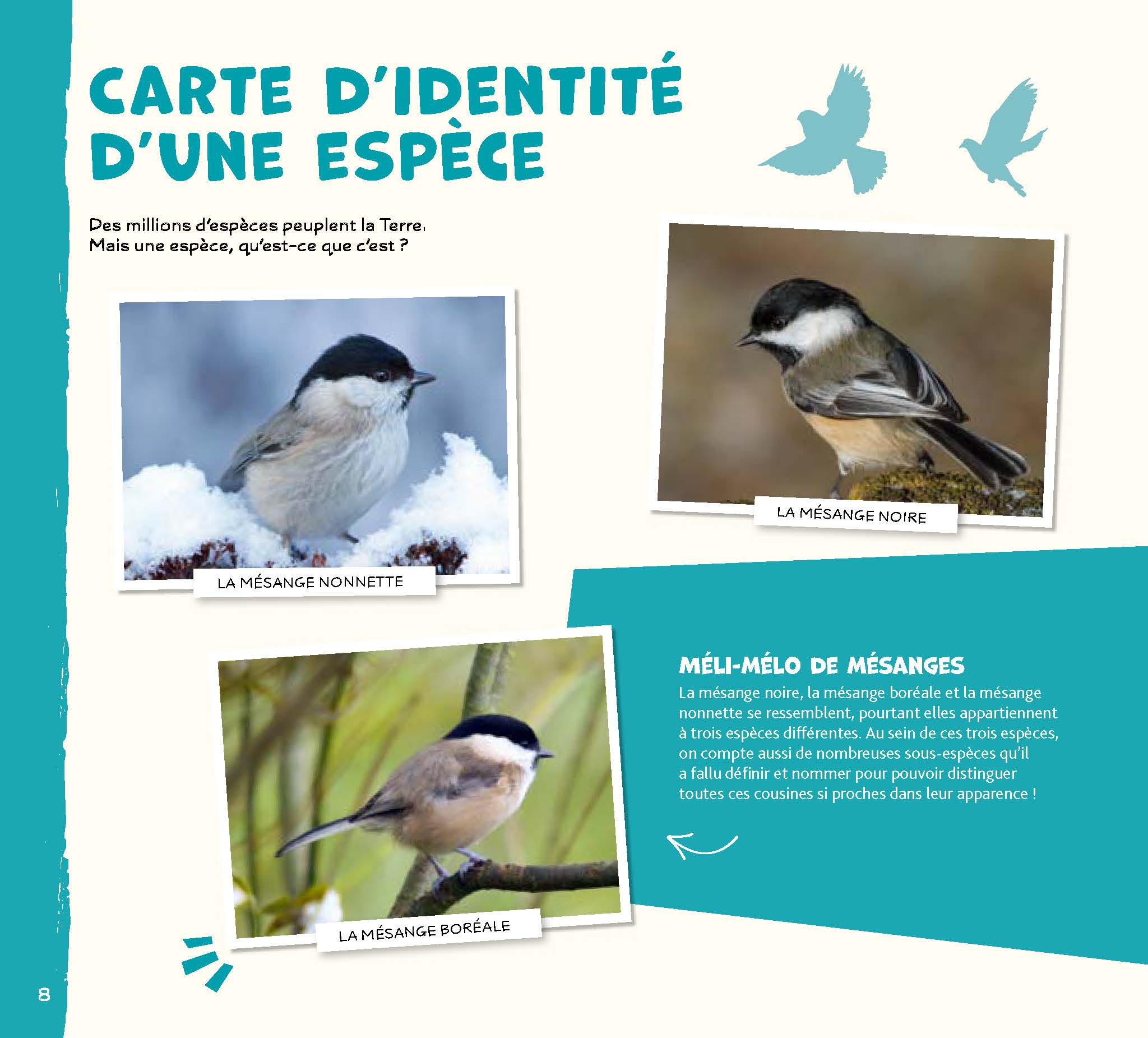 SOS ANIMAUX MENACES : DES INITIATIVES POUR LES SAUVER !