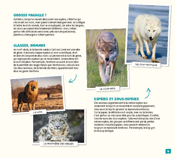 SOS ANIMAUX MENACES : DES INITIATIVES POUR LES SAUVER !