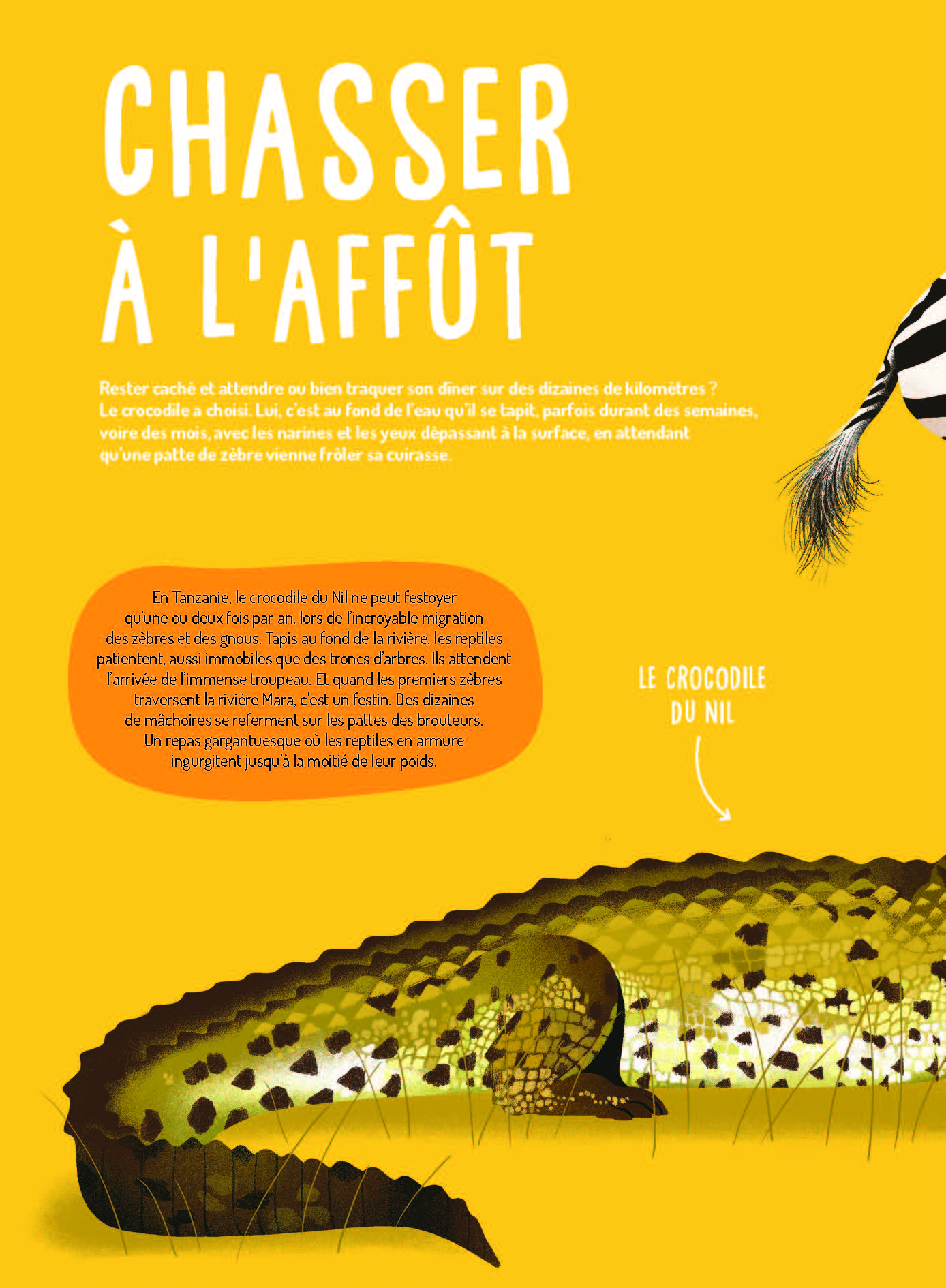 PREDATEURS : 16 FACE-A-FACE INCROYABLES
