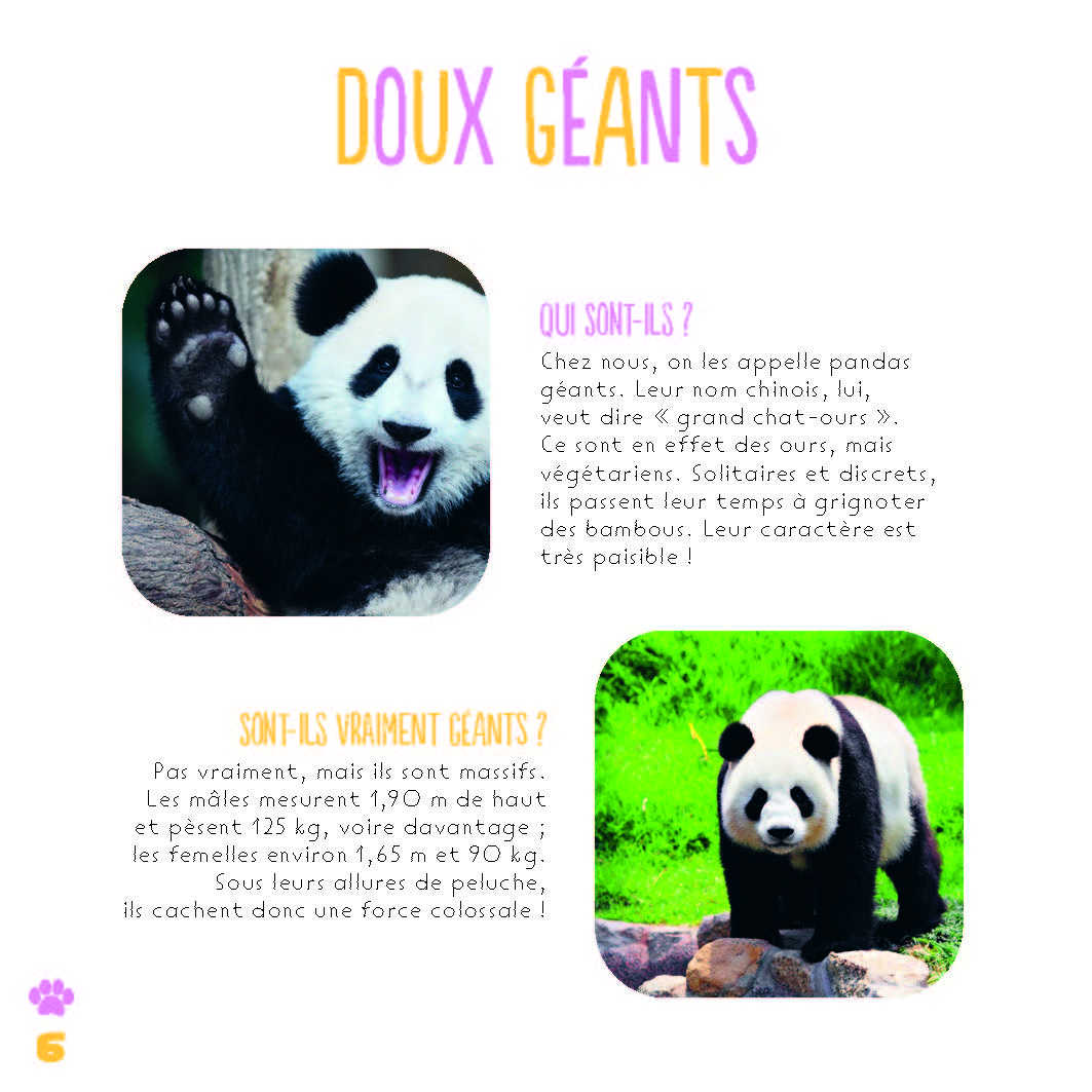 LES PANDAS
