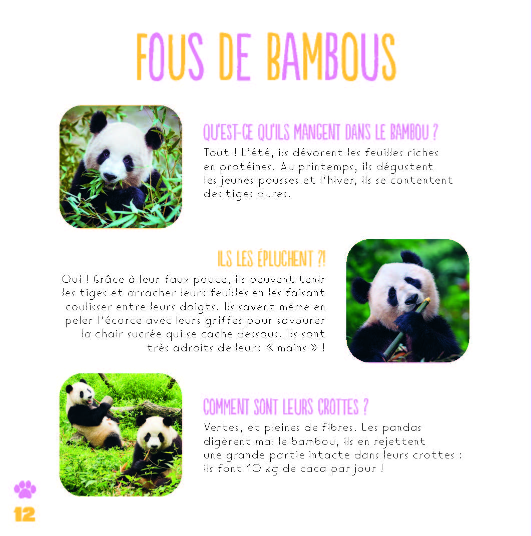 LES PANDAS