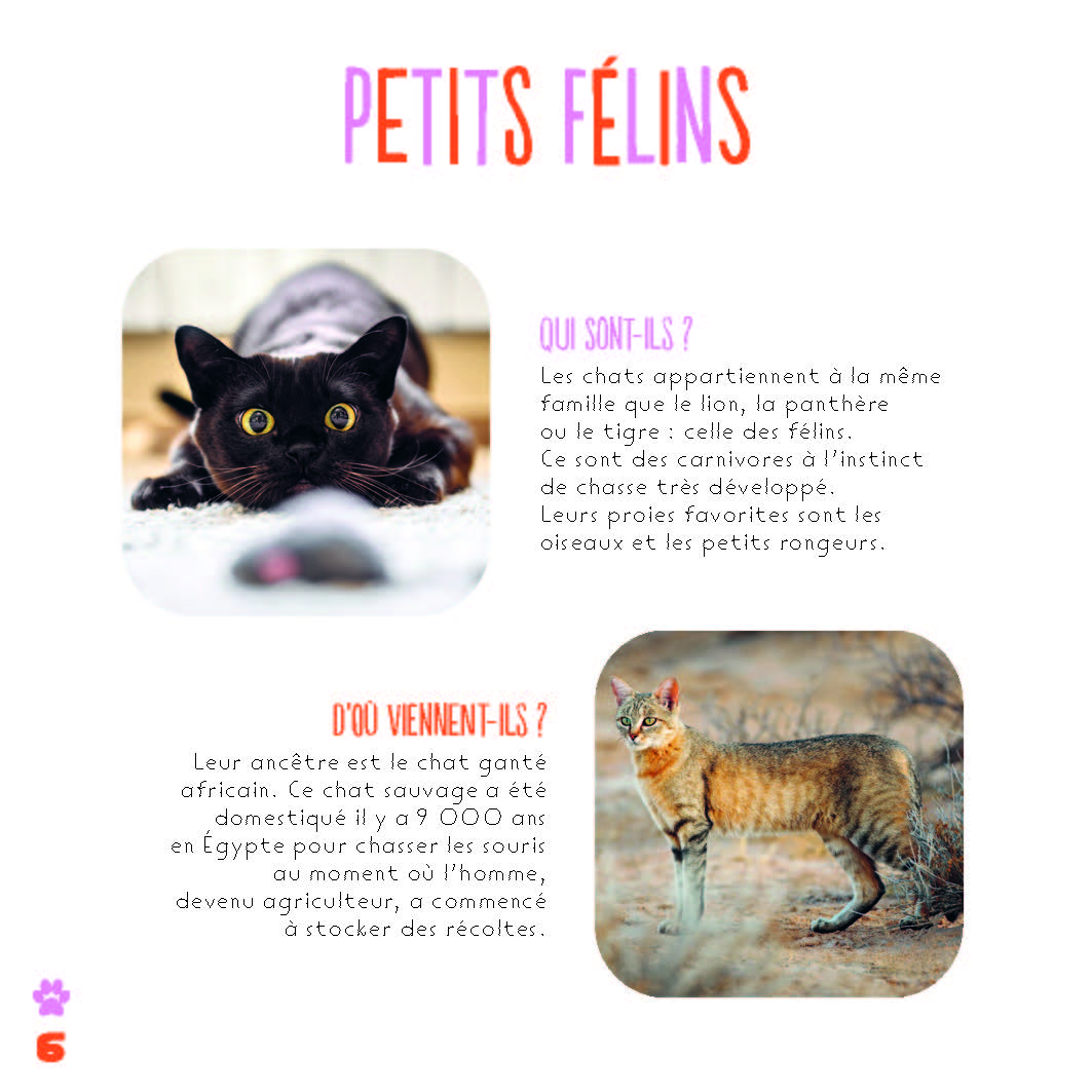 LES CHATS