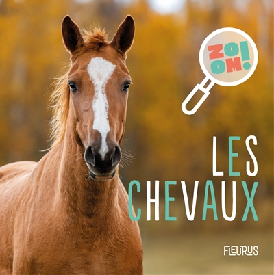 LES CHEVAUX