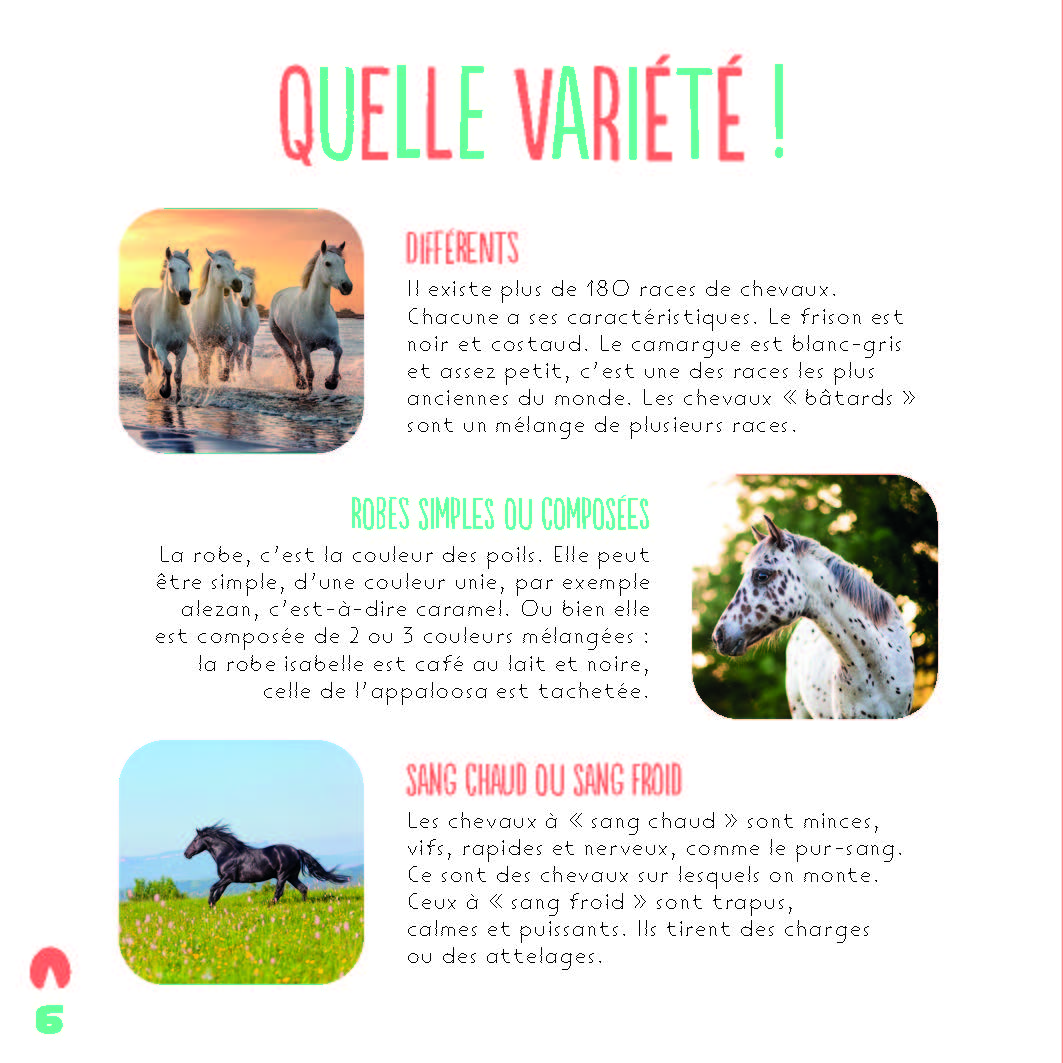 LES CHEVAUX