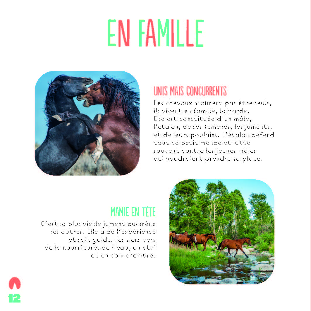 LES CHEVAUX