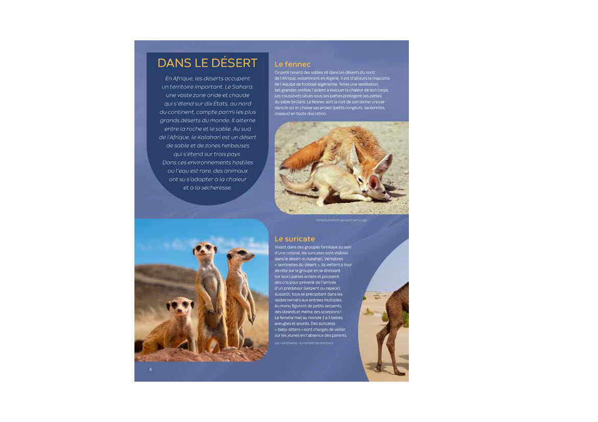 LES ANIMAUX D