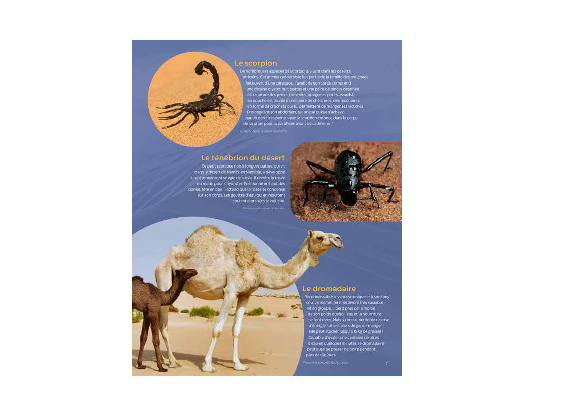LES ANIMAUX D