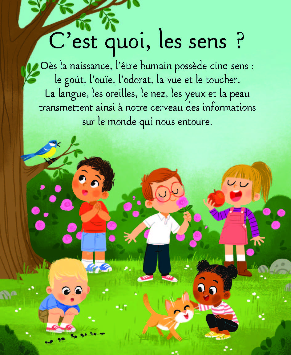 LES 5 SENS