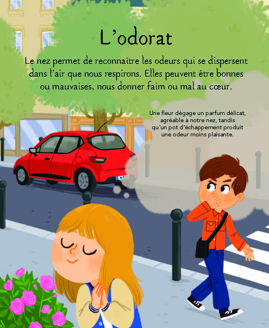 LES 5 SENS