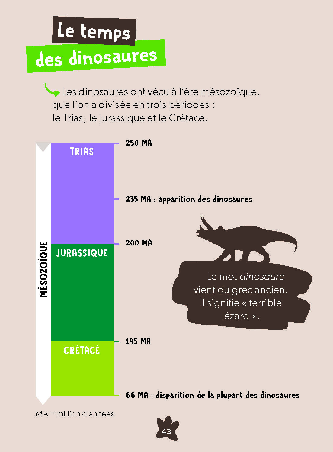 UN JEUNE TRICERATOPS TEMERAIRE
