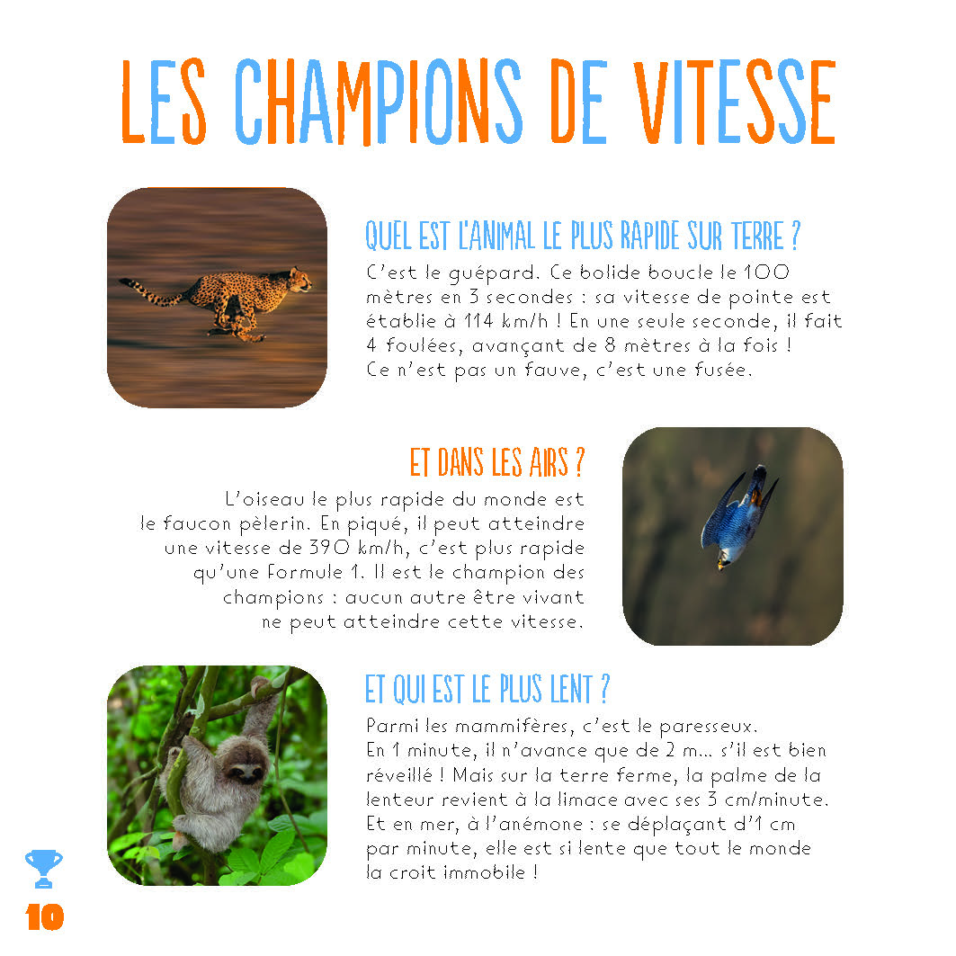 LES RECORDS DES ANIMAUX