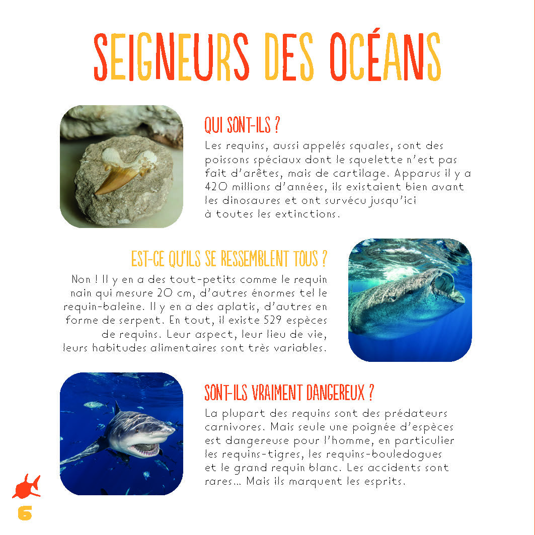 LES REQUINS