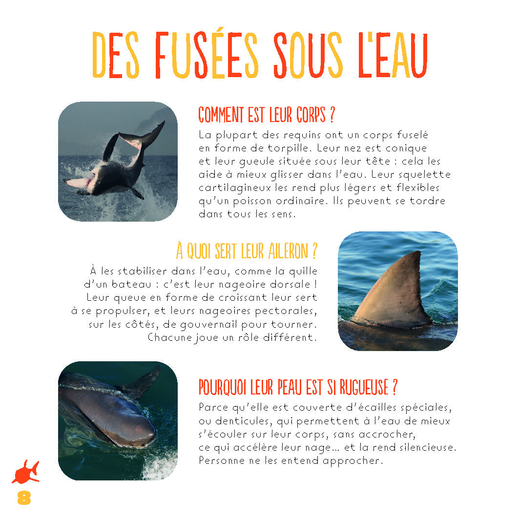 LES REQUINS