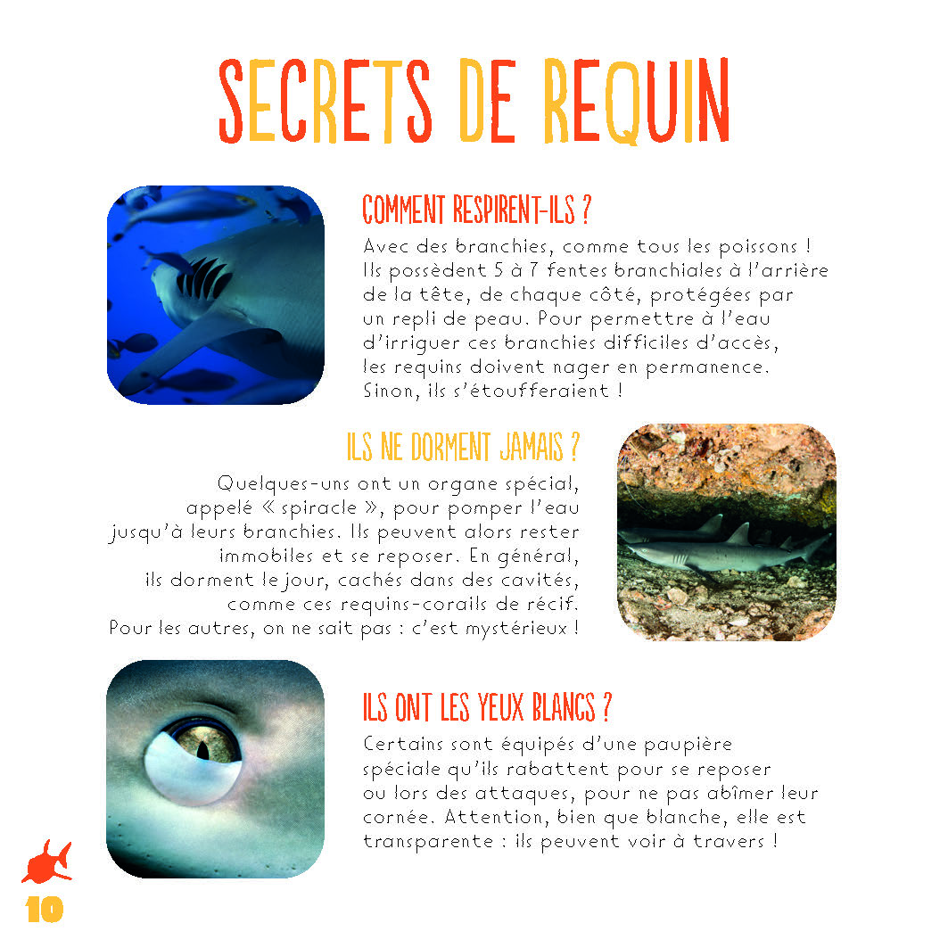 LES REQUINS