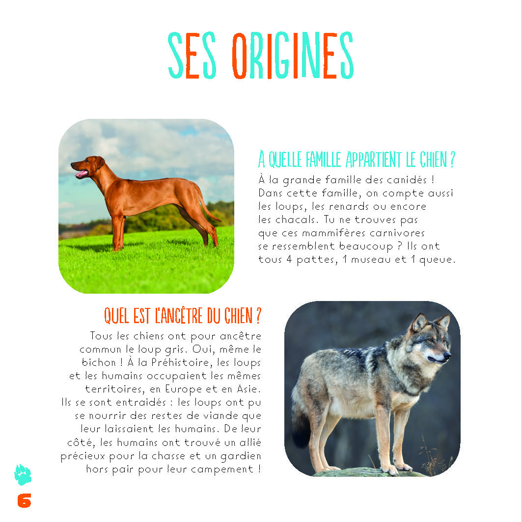 LES CHIENS