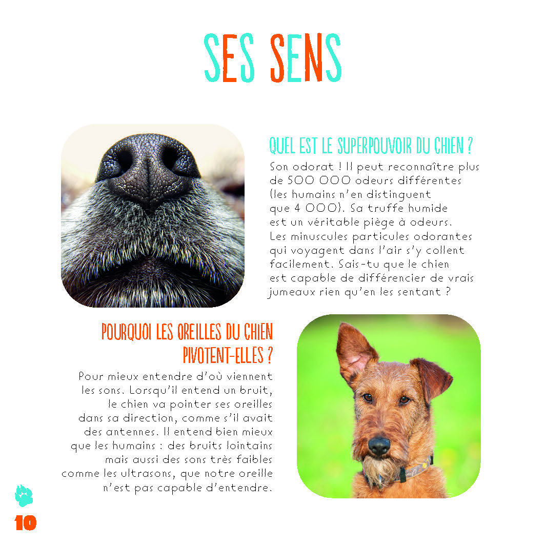 LES CHIENS