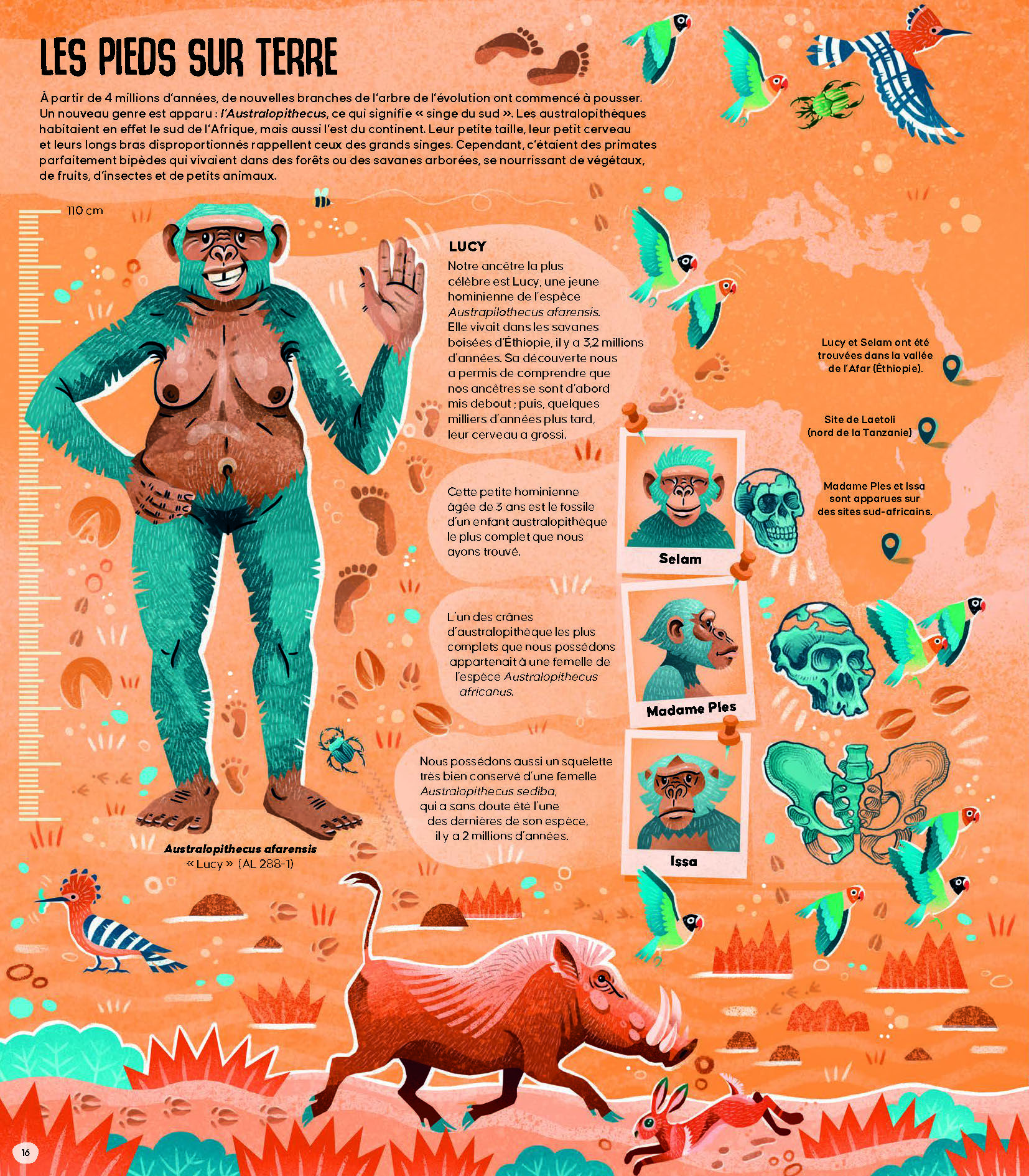 FEMINA SAPIENS