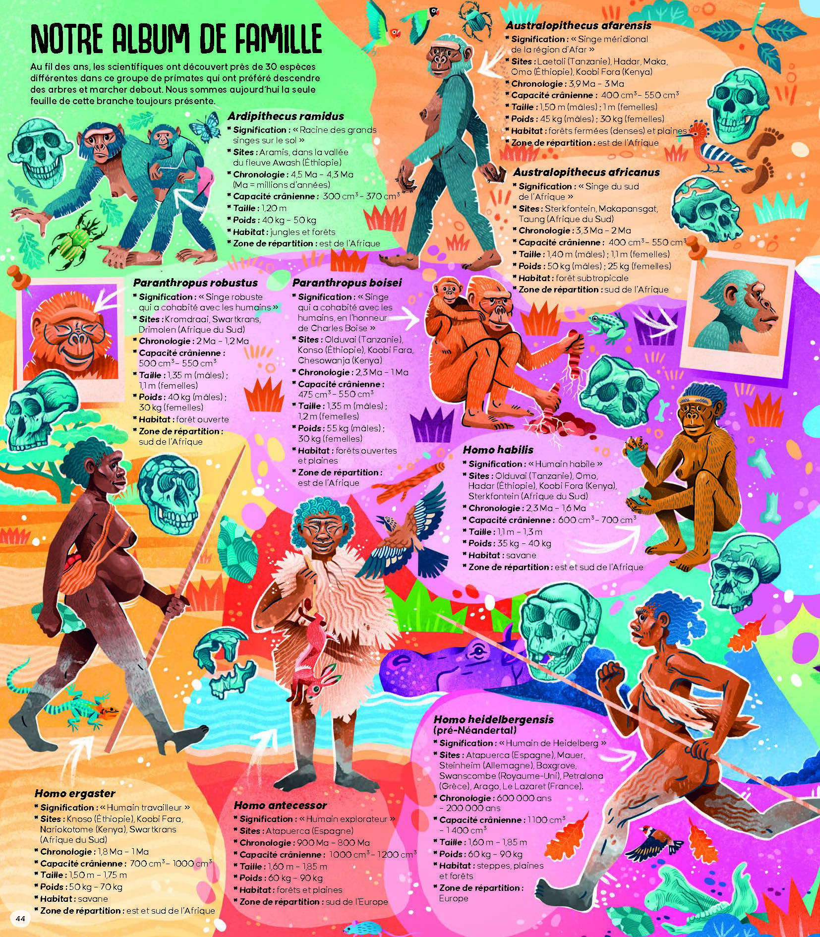 FEMINA SAPIENS