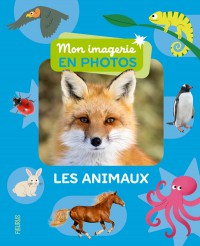 Voir les images