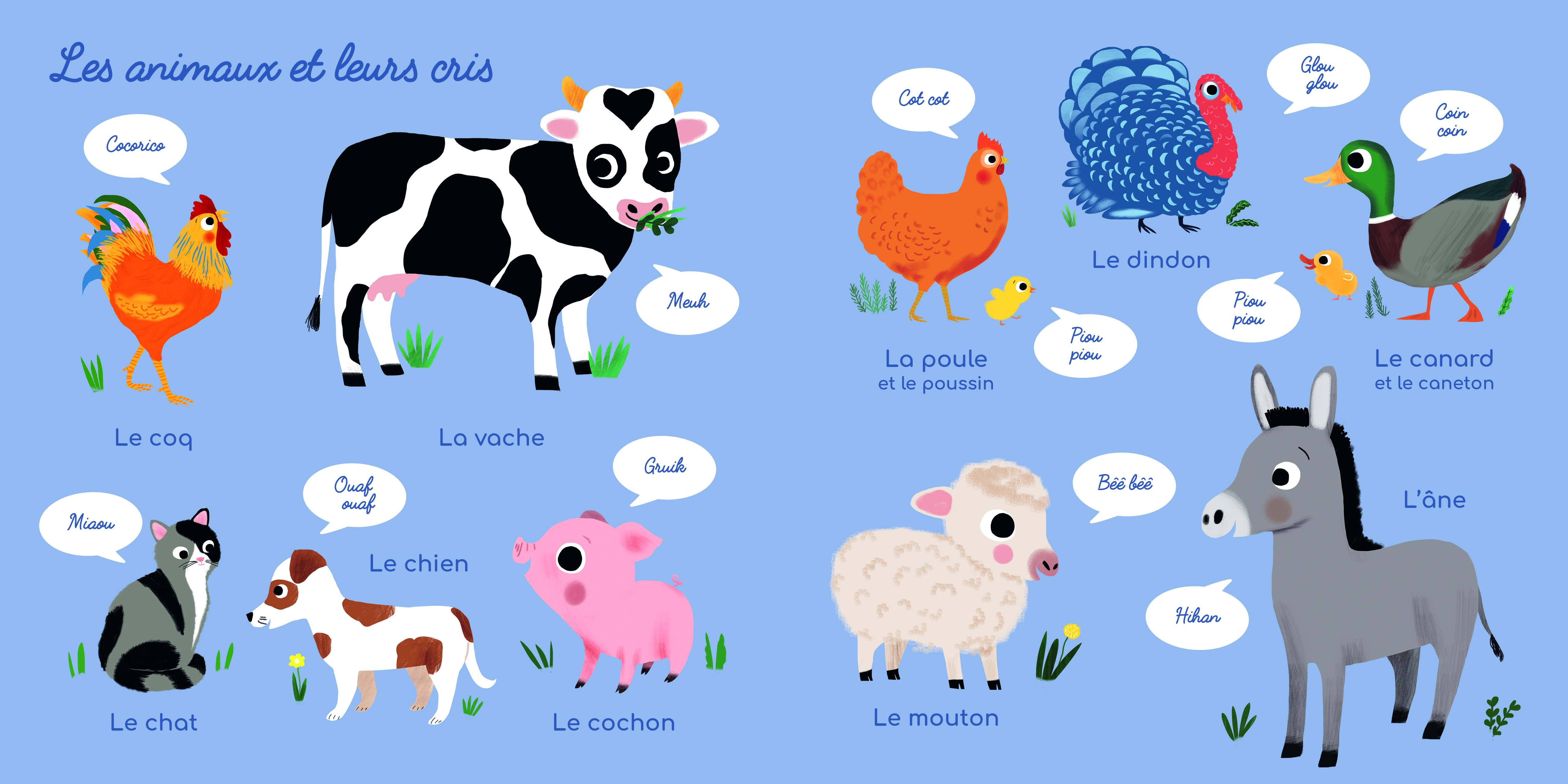 MON PREMIER IMAGIER D MON PREMIER IMAGIER D