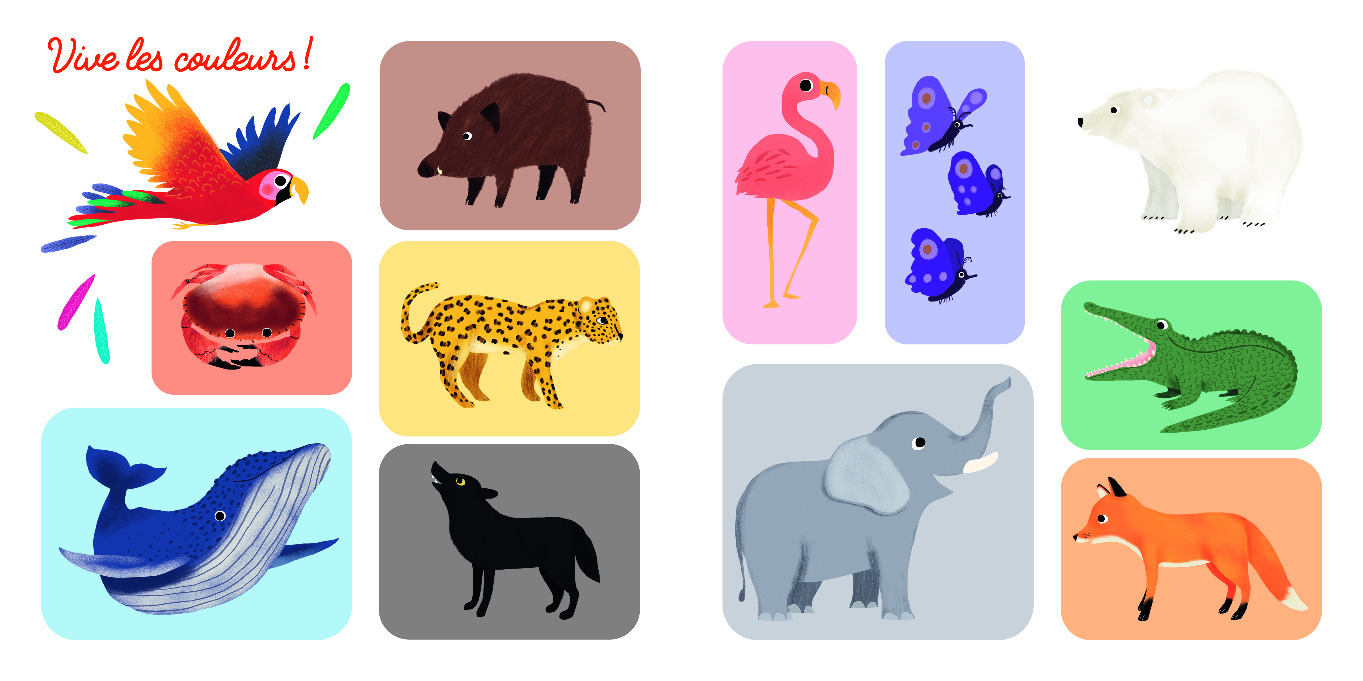 MON PREMIER IMAGIER D MON PREMIER IMAGIER D