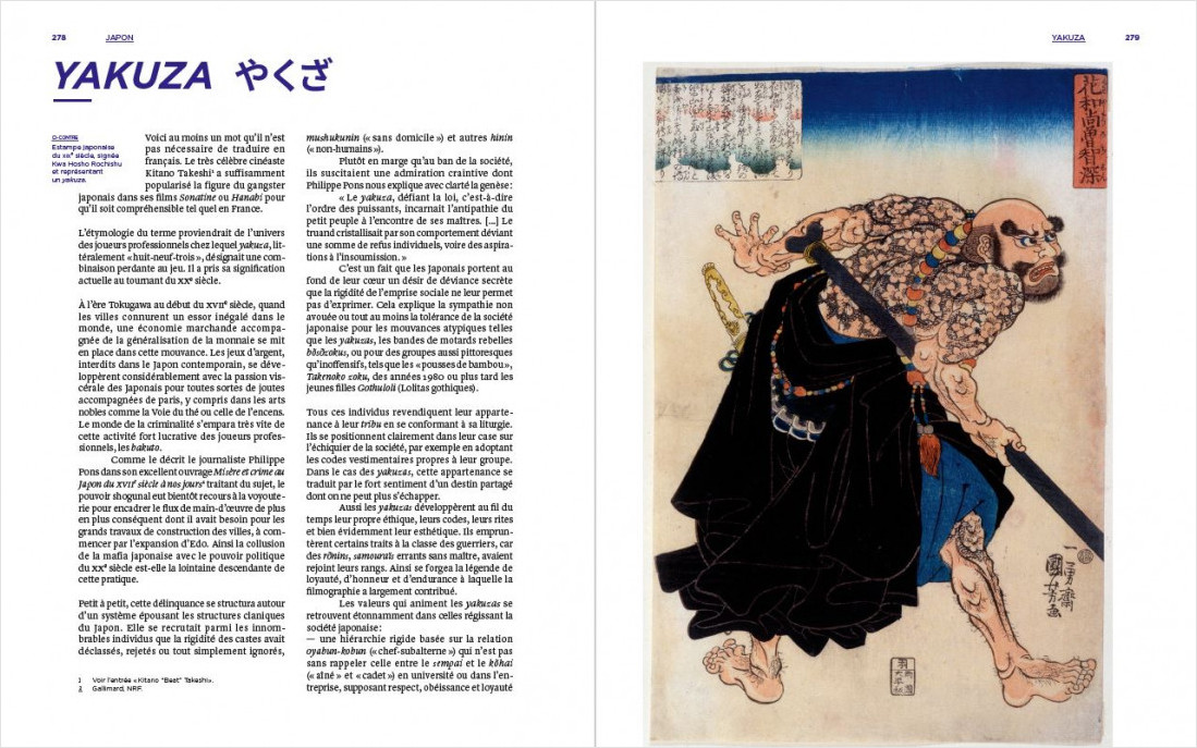 DICTIONNAIRE AMOUREUX ILLUSTRE DU JAPON