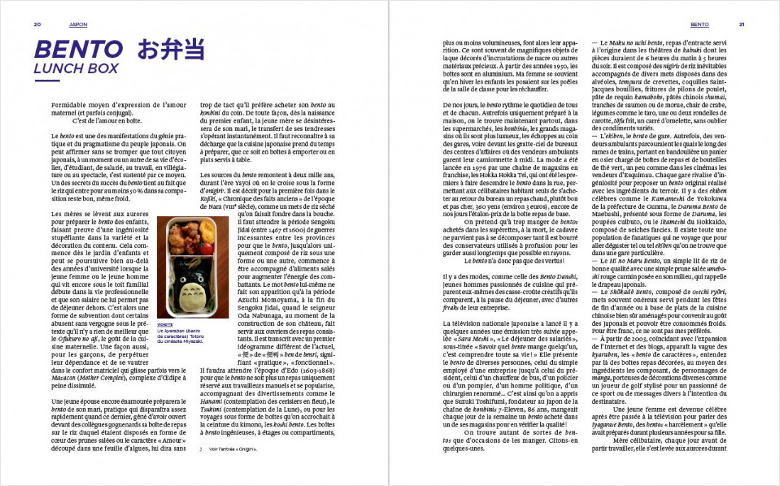 DICTIONNAIRE AMOUREUX ILLUSTRE DU JAPON