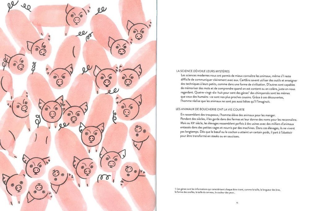LES DROITS DES ANIMAUX - CA ME CONCERNE !
